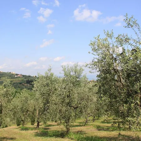 Belvilla By Oyo La Casa Dei Cinque Olivi Quarrata