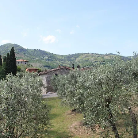Belvilla By Oyo La Casa Dei Cinque Olivi Holiday home