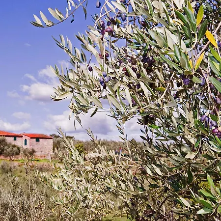 Belvilla By Oyo La Casa Dei Cinque Olivi Quarrata